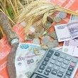 Информация для индивидуальных предпринимателей и крестьянских (фермерских) хозяйств